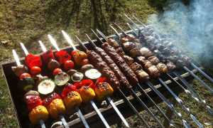 Как правильно жарить шашлык на мангале: какое мясо выбрать