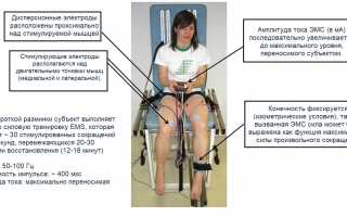 Влияние электростимуляции мышц пресса на силу, выносливость, и отдельные антропометрические параметры