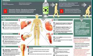 Алкоголь и фитнес – больная тема!
