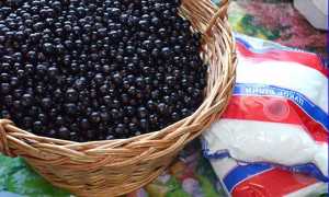Варенье джем из смородины черной
