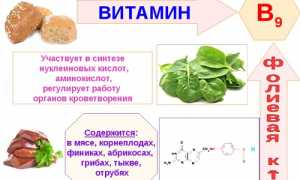Корень шиповника — польза растения для лечения народными методами