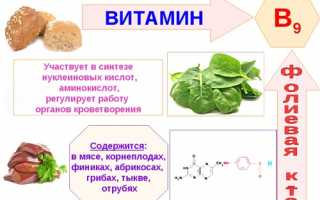 Корень шиповника — польза растения для лечения народными методами