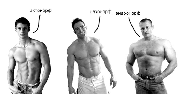 Программа тренировок для эндоморфа