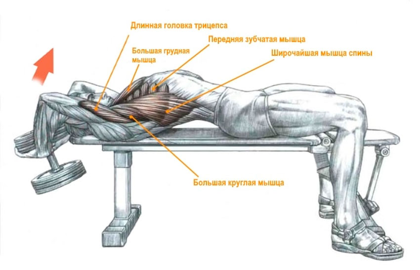 Пуловер с гантелью