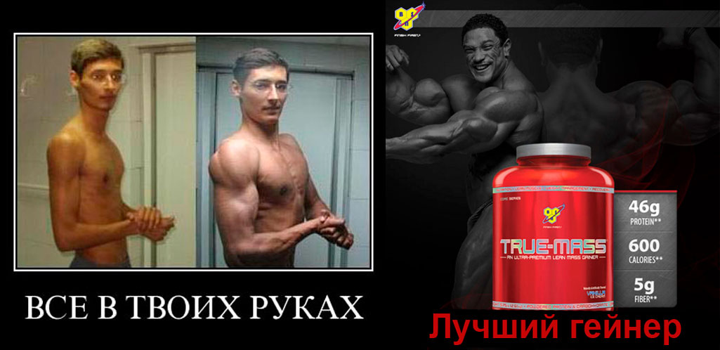 Гейнер для эктоморфа