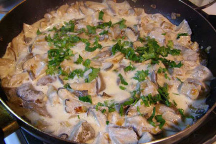 Вкусные рецепты приготовления грибов в сливочном соусе