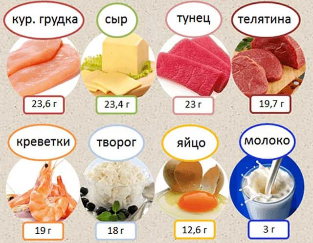 Программа упражнений для мужчин и принципы составления эффективных программ тренировок