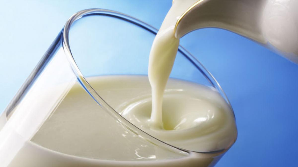 Угольная диета - выбор и употребление продукта, возможные противопоказания и отзывы