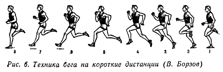 Спринтерский бег и виды дистанций, правильная техника выполнения