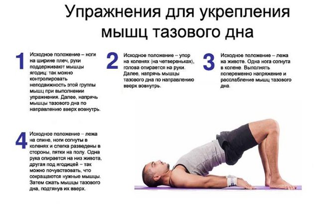 Утренняя зарядка - польза, правила выполнения, мотивация