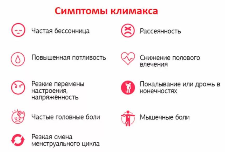 Вероника лекарственная - полезные свойства, рецепты применения для лечения