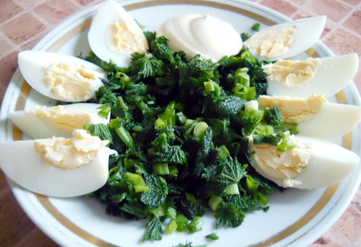 Салат из крапивы с яйцом и огурцом