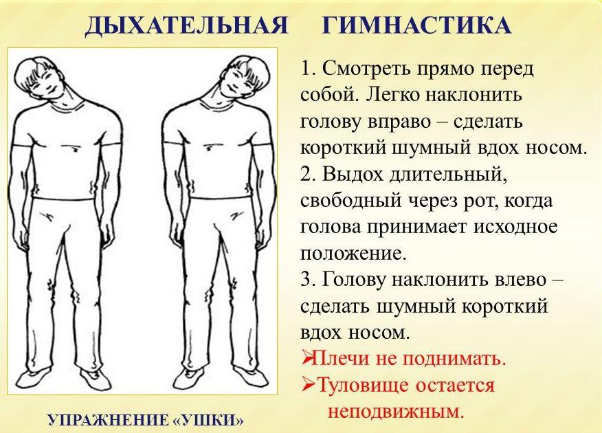 Упражнения Стрельниковой на видео с описанием техники дыхания и выполнения упражнений