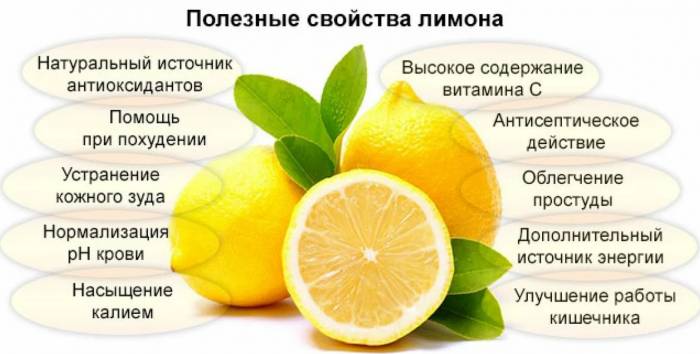 Рецепты лимона с медом для пользы здоровья мужчин, женщин и детей
