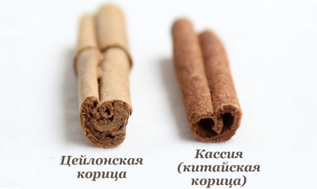 Кассия, или китайская корица - применение в народной медицине и в кулинарии