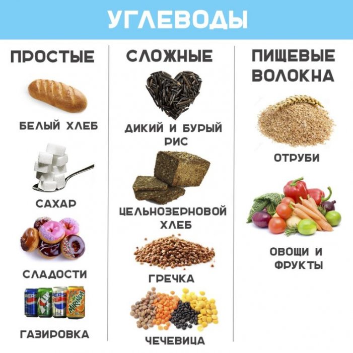Программа упражнений для мужчин и принципы составления эффективных программ тренировок