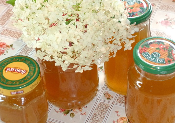 Готовим вкусное желе крыжовника в домашних условиях