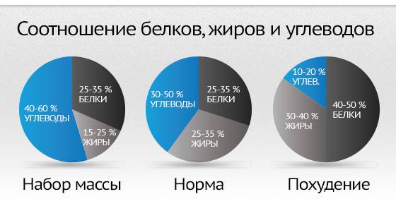 Видео домашних упражнений для похудения по лучшим фитнес-програмамм