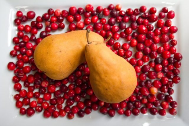 Брусника моченая с сахаром