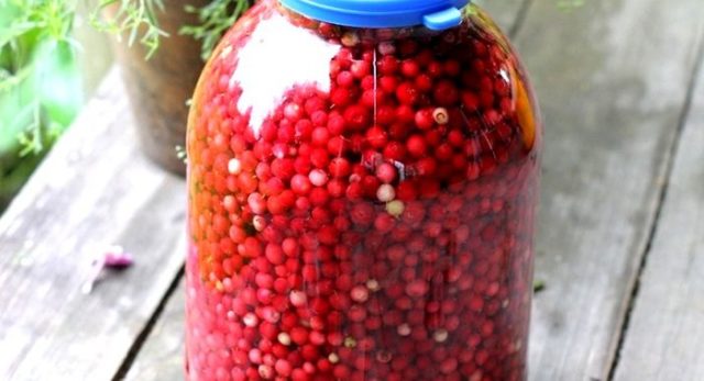 Брусника моченая с сахаром