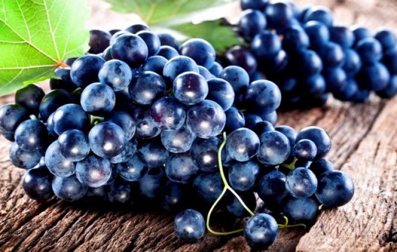 Черный виноград- в чем польза продукта для организма