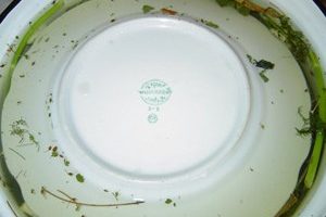 Малосольные огурцы горячим рассолом в банках