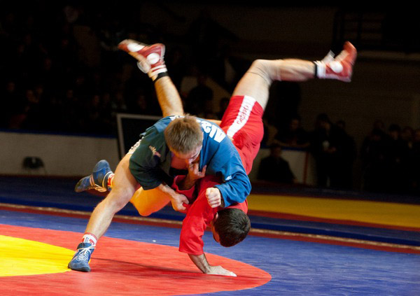 Обзор наиболее популярных видов боевых искусств