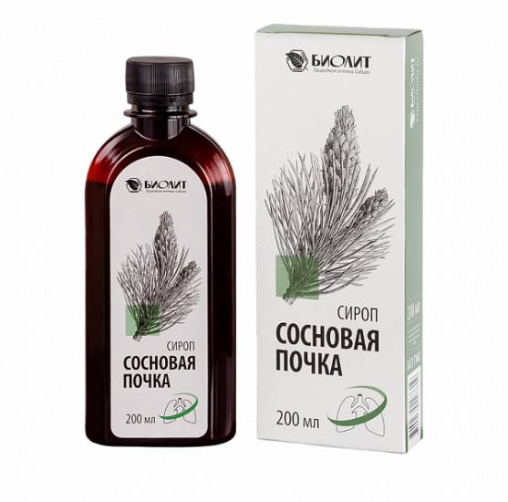 Почки сосны - химический состав и польза для взрослых и детей