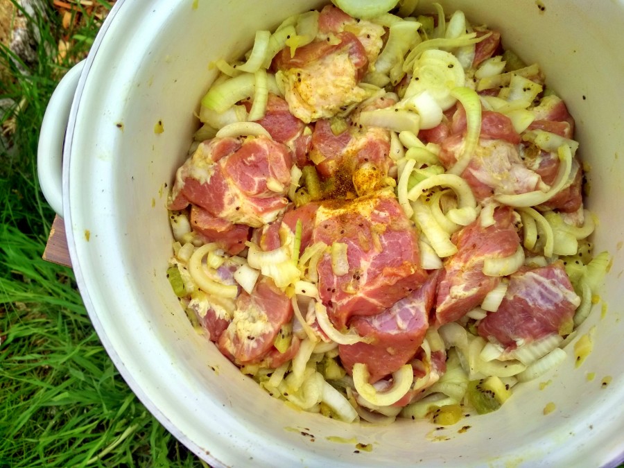 Как замариновать мясо для шашлыка с киви: рецепты