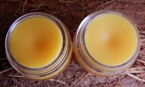 Лечебные свойства лапчатки, способы применения