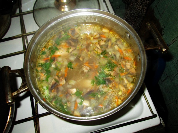 Грибные щи с квашеной капустой: лучшие рецепты приготовления