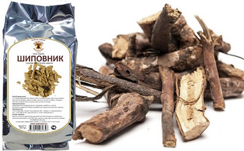 Корень шиповника - польза растения для лечения народными методами