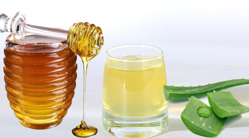 Польза настойки алоэ для организма, приготовление в домашних условиях