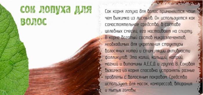 Лопух для волос: польза и рецепты народной медицины
