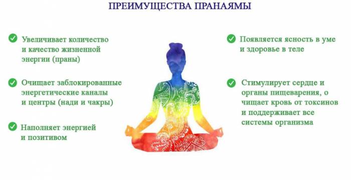 Виды йоги и разновидности современных занятий