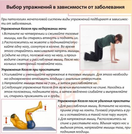 Упражнения Кегеля для мужчин: польза, противопоказания и вред