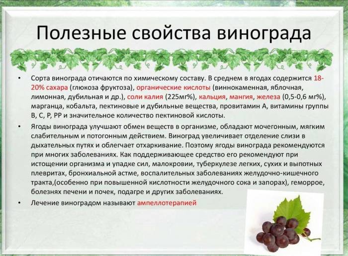Виноград при похудении - последствия и противопоказания диеты