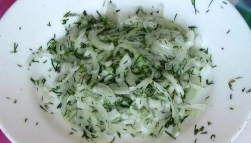 Как вкусно замариновать лук к шашлыку: рецепты с фото