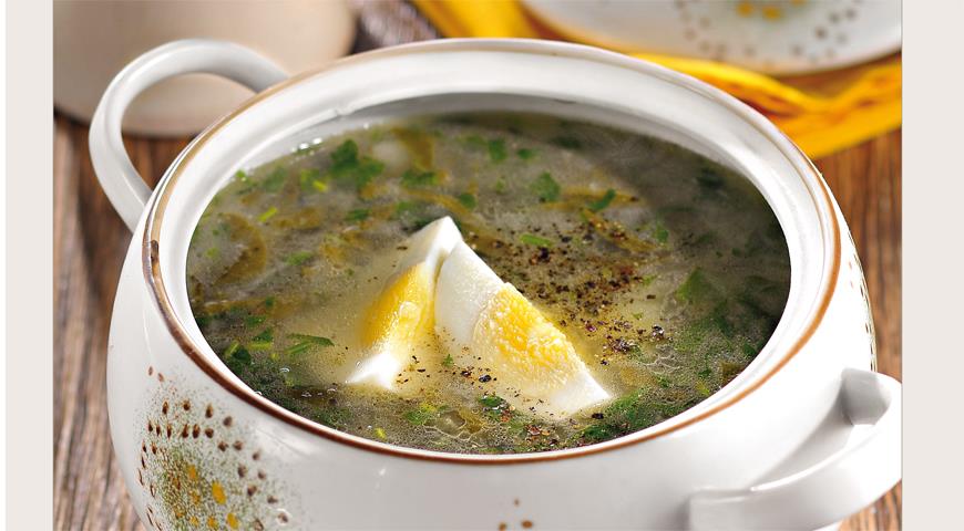 Зеленые щи – 8 различных рецептов приготовления с фото