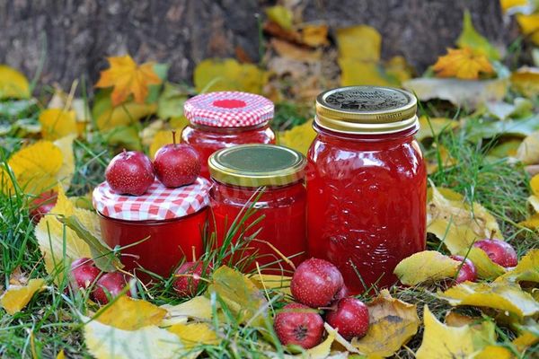 Рецепты компота из боярышника - польза и вред продукта