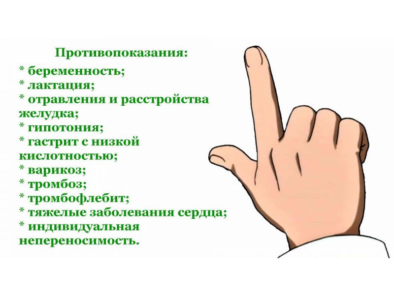 Буквица лекарственная: лечебные свойства и польза применения растения в народной медицине