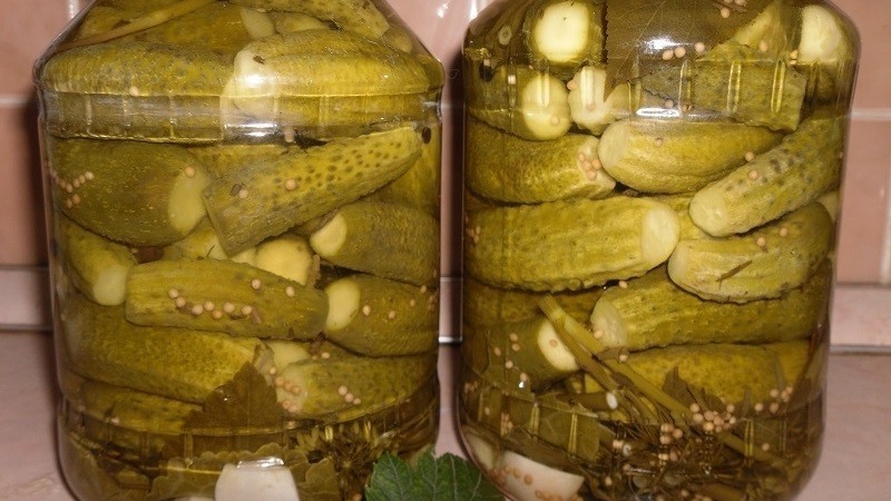 Маринованные огурцы помутнели