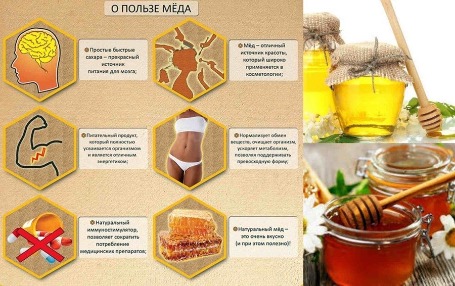 Вода с медом - польза, правильное приготовление полезного напитка