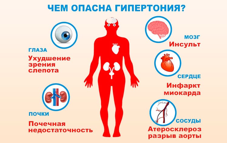 Сушеница - применение травы в народной и традиционной медицине