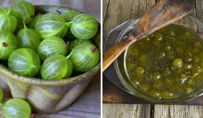 Желейное варенье из крыжовника