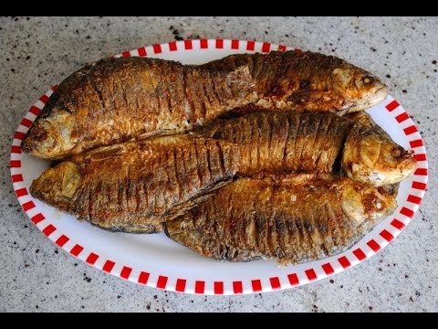 Описание и рецепт приготовления рыбы шемая