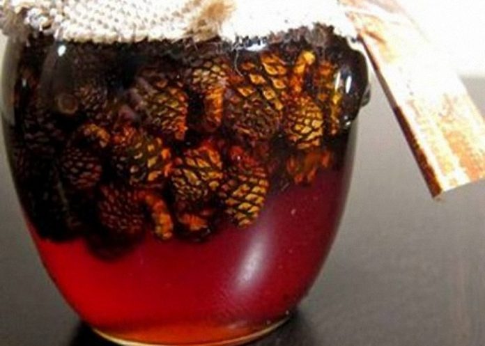 Рецепты и лечебные свойства настойки сосновых шишек на водке