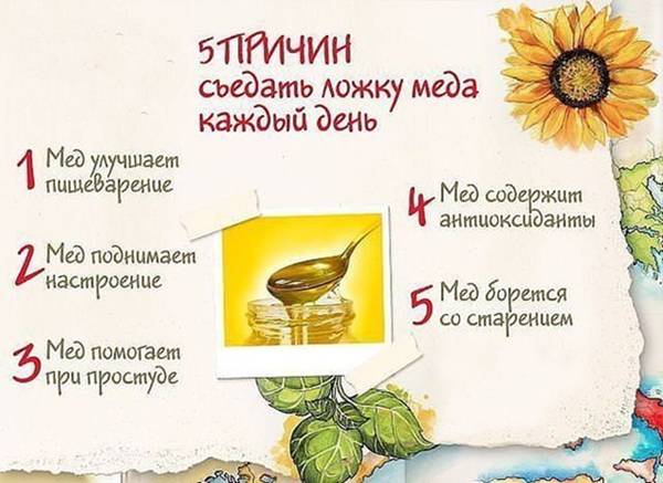 Рецепты лимона с медом для пользы здоровья мужчин, женщин и детей