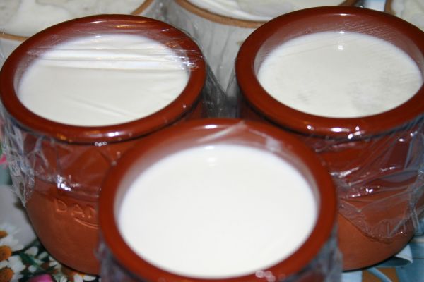 Как приготовить молочный кисель на крахмале