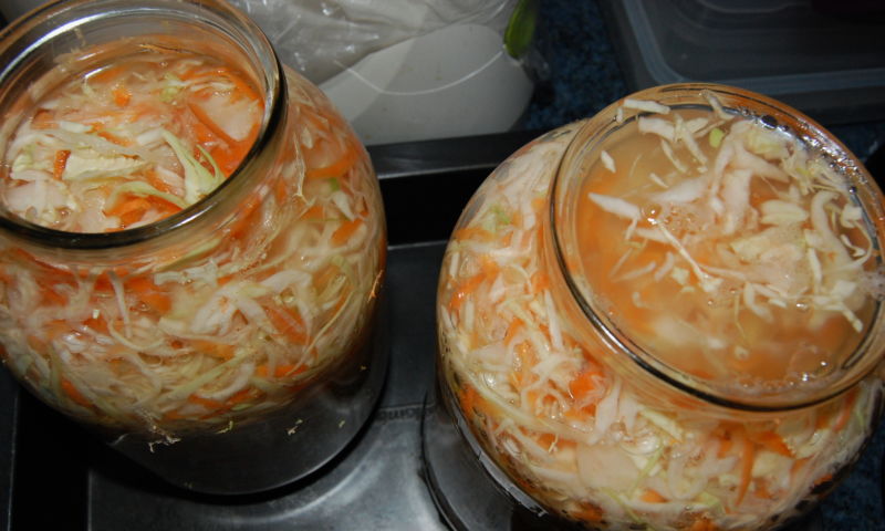 Быстрая капуста квашеная кусочками